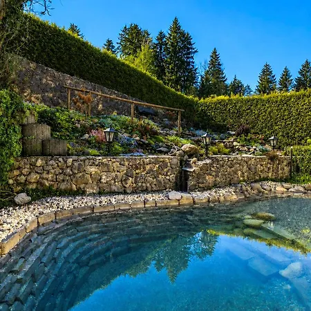 Апартаменты Haus Berggesundzeit Koenigsbachalm