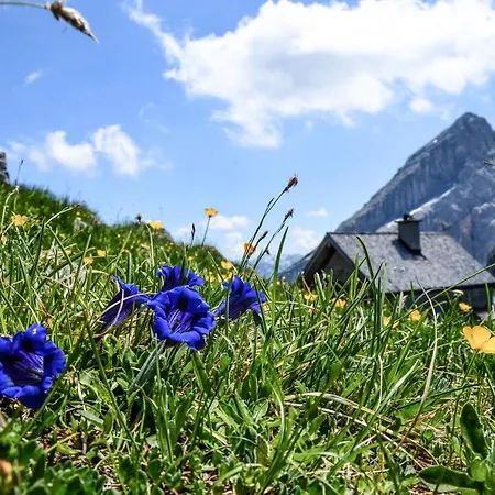 Haus Berggesundzeit Koenigsbachalm Daire *